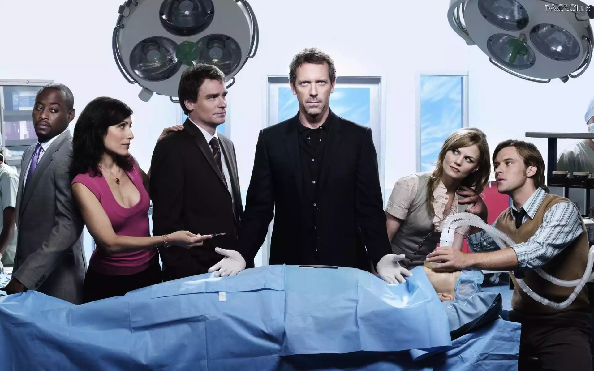 Aktorzy, Hugh Laurie, Dr House, Serial