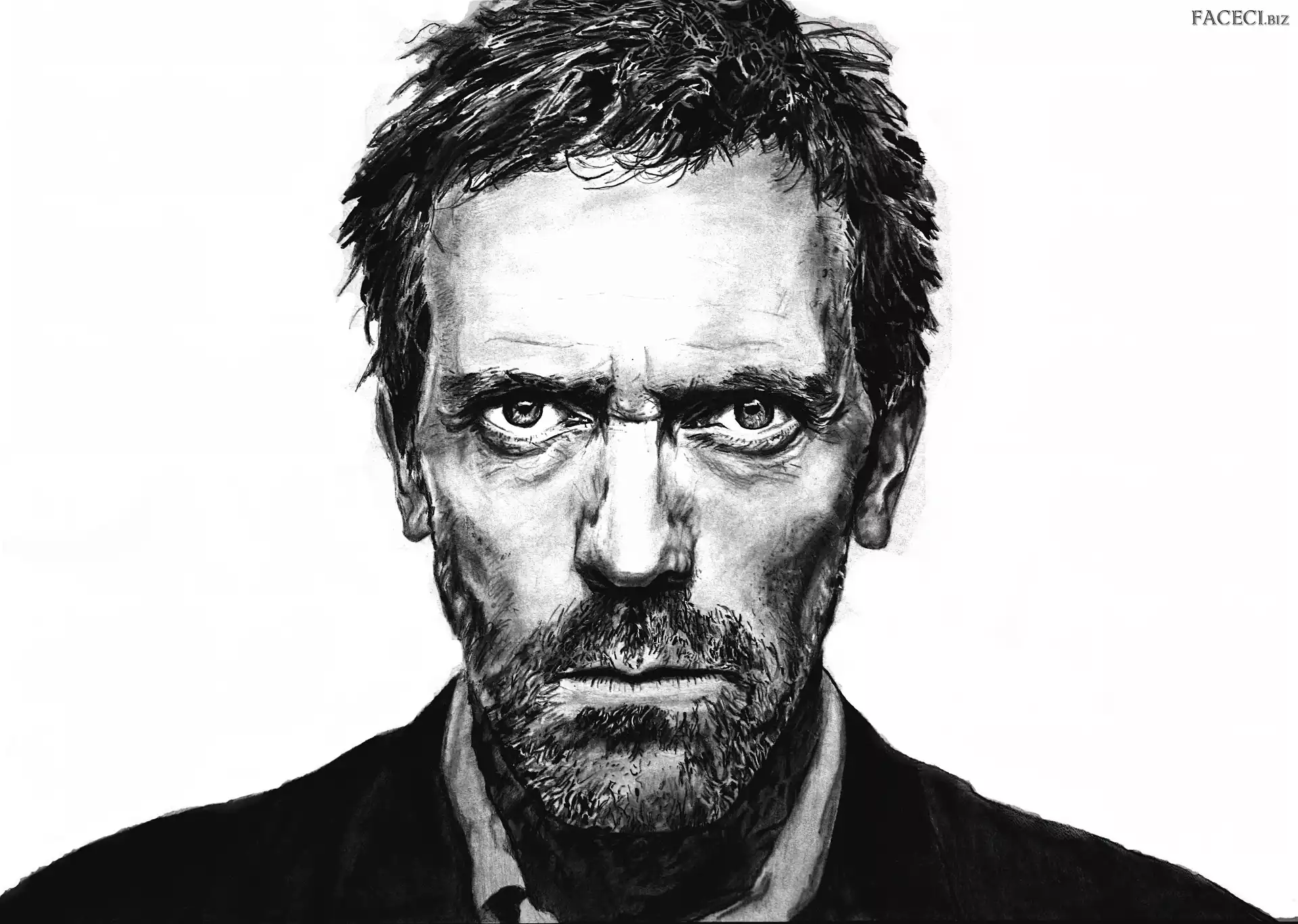 Hugh Laurie, Dr. House